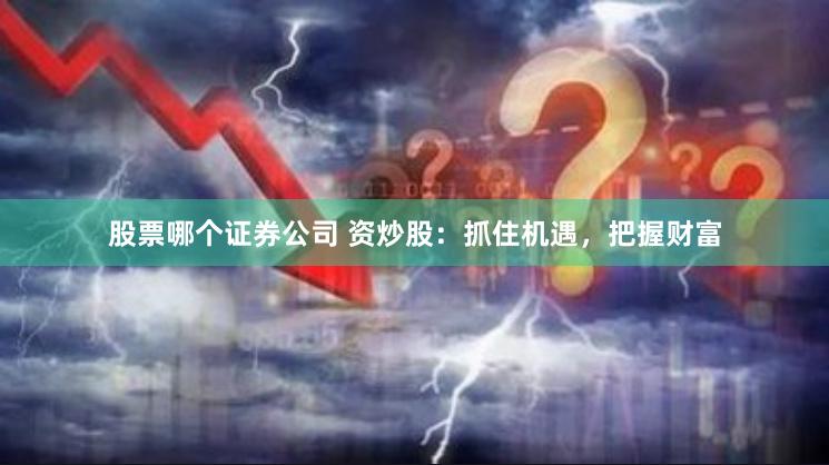 股票哪个证券公司 资炒股：抓住机遇，把握财富