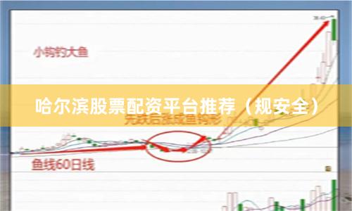 哈尔滨股票配资平台推荐（规安全）