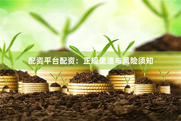 配资平台配资：正规渠道与风险须知